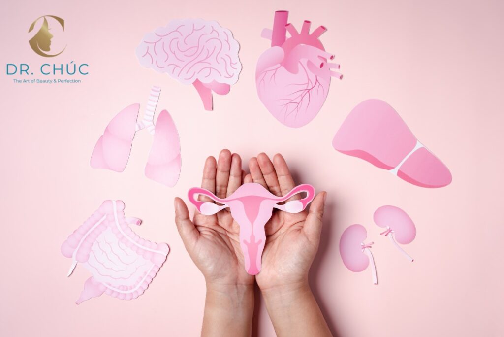 Khái niệm về suy giảm nội tiết tố