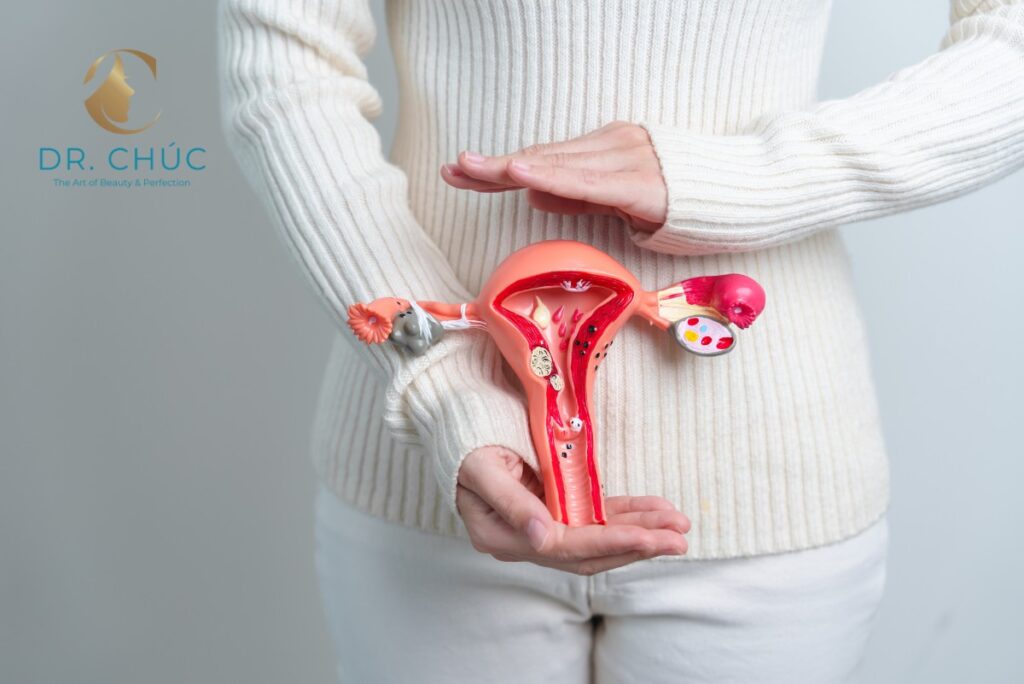 Tại sao các chỉ số nội tiết tố nữ lại quan trọng?