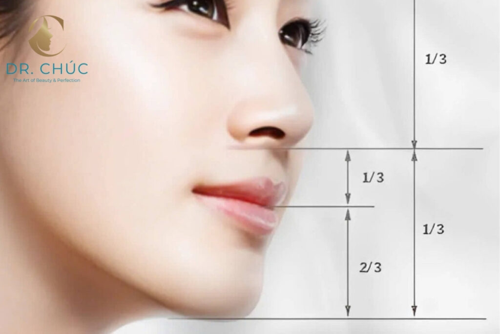 Độ cao dáng mũi – yếu tố vàng quyết định vẻ đẹp khuôn mặt