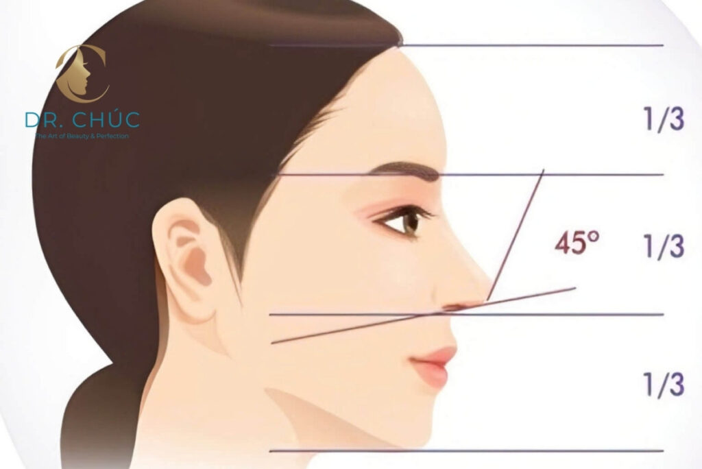 Các dáng mũi phổ biến theo từng cấu trúc gương mặt