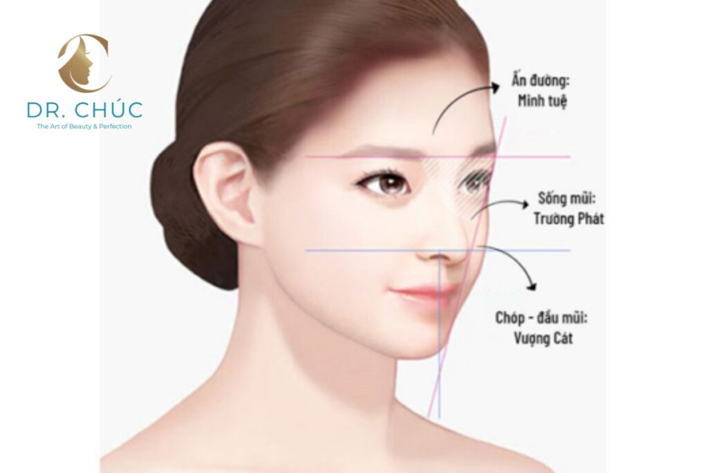 Vì sao nâng mũi làm khuôn mặt khác biệt hơn?