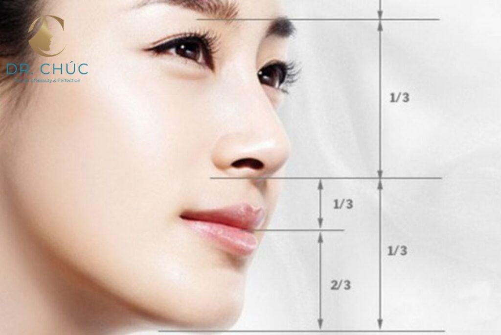 Sống mũi là gì?