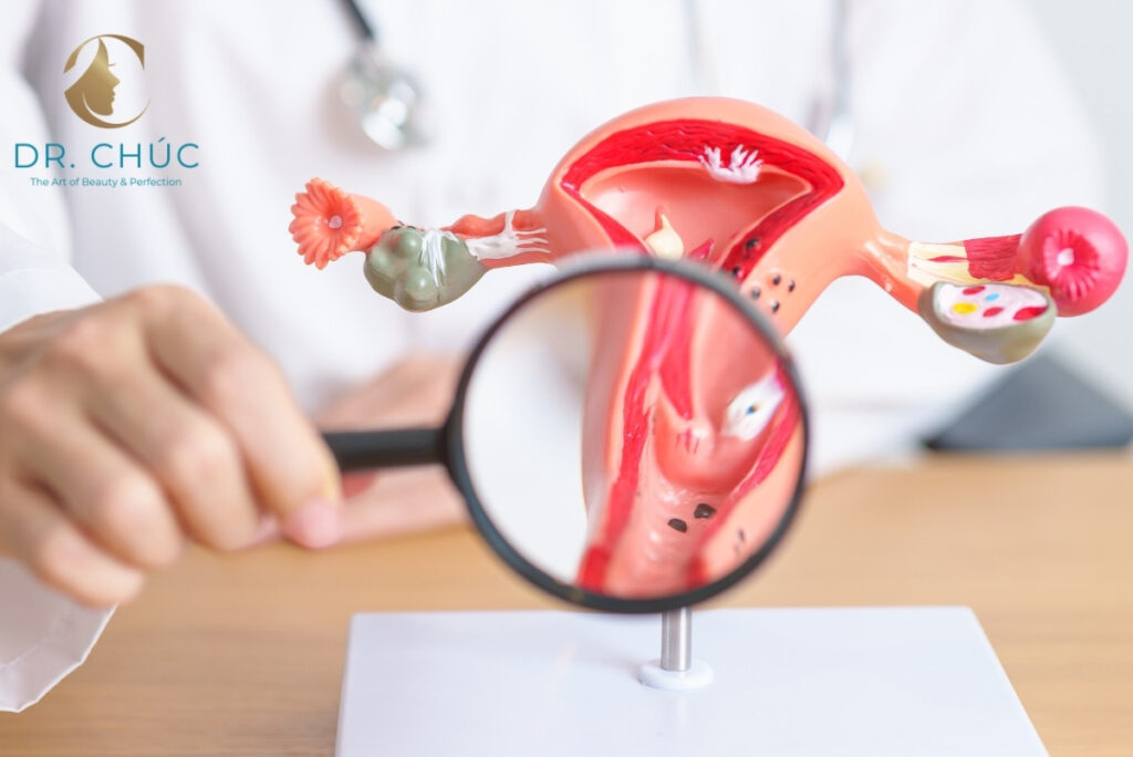 Vai trò của nội tiết tố nữ đối với cơ thể