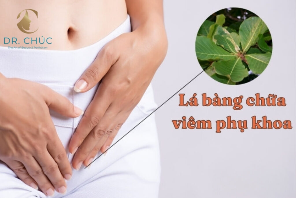 Những rủi ro khi lạm dụng lá bàng chữa bệnh phụ khoa