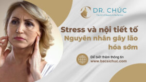 Stress và nội tiết tố: Nguyên nhân gây lão hóa sớm