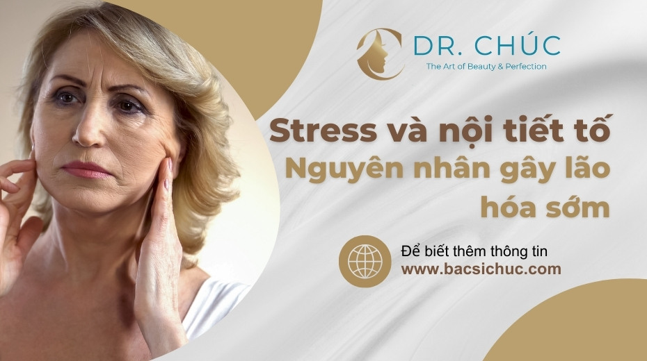 Stress và nội tiết tố: Nguyên nhân gây lão hóa sớm