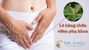 Lá bàng chữa bệnh phụ khoa có hiệu quả không? Bác sĩ Chúc phân tích chi tiết